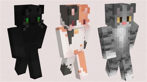 skin cat minecraft